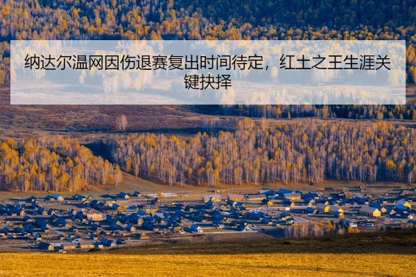 na-da-er-wen-wang-yin-shang-tui-sai-fu-chu-shi-jian-dai-ding-hong-tu-zhi-wang-sheng-ya-guan-jian-jue-ze-2-298.jpg